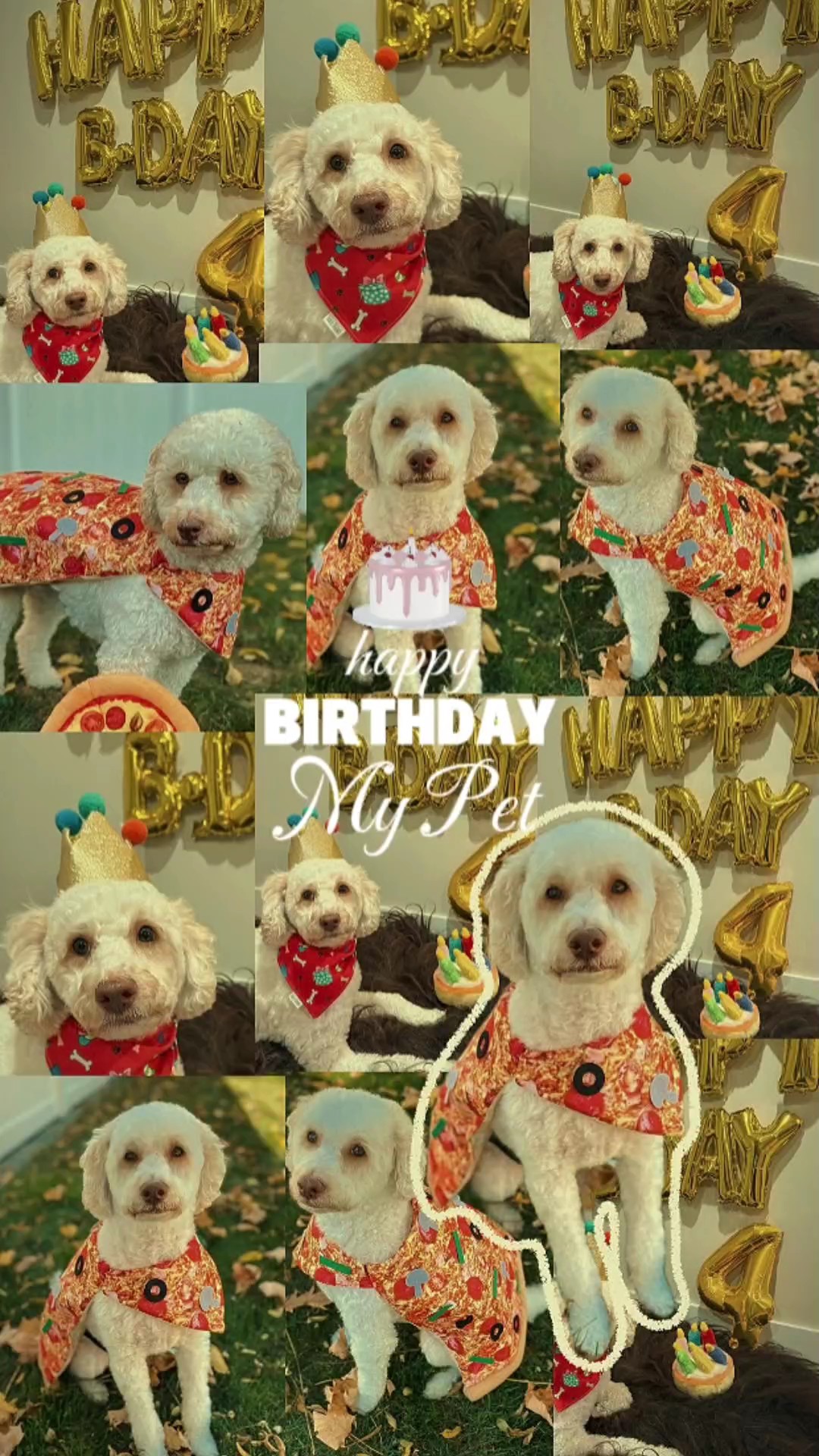 HBD MEU ANIMAL DE ESTIMAÇÃO