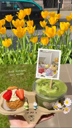 2 grid video