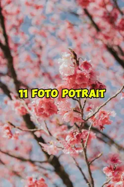 11 foto potrait