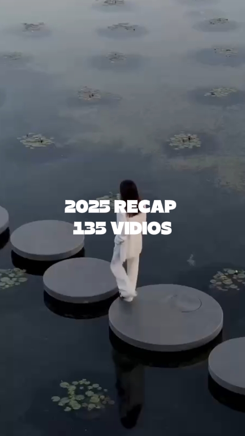 Récapitulatif 2025 135 vidio