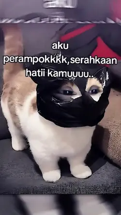 aku perampokan