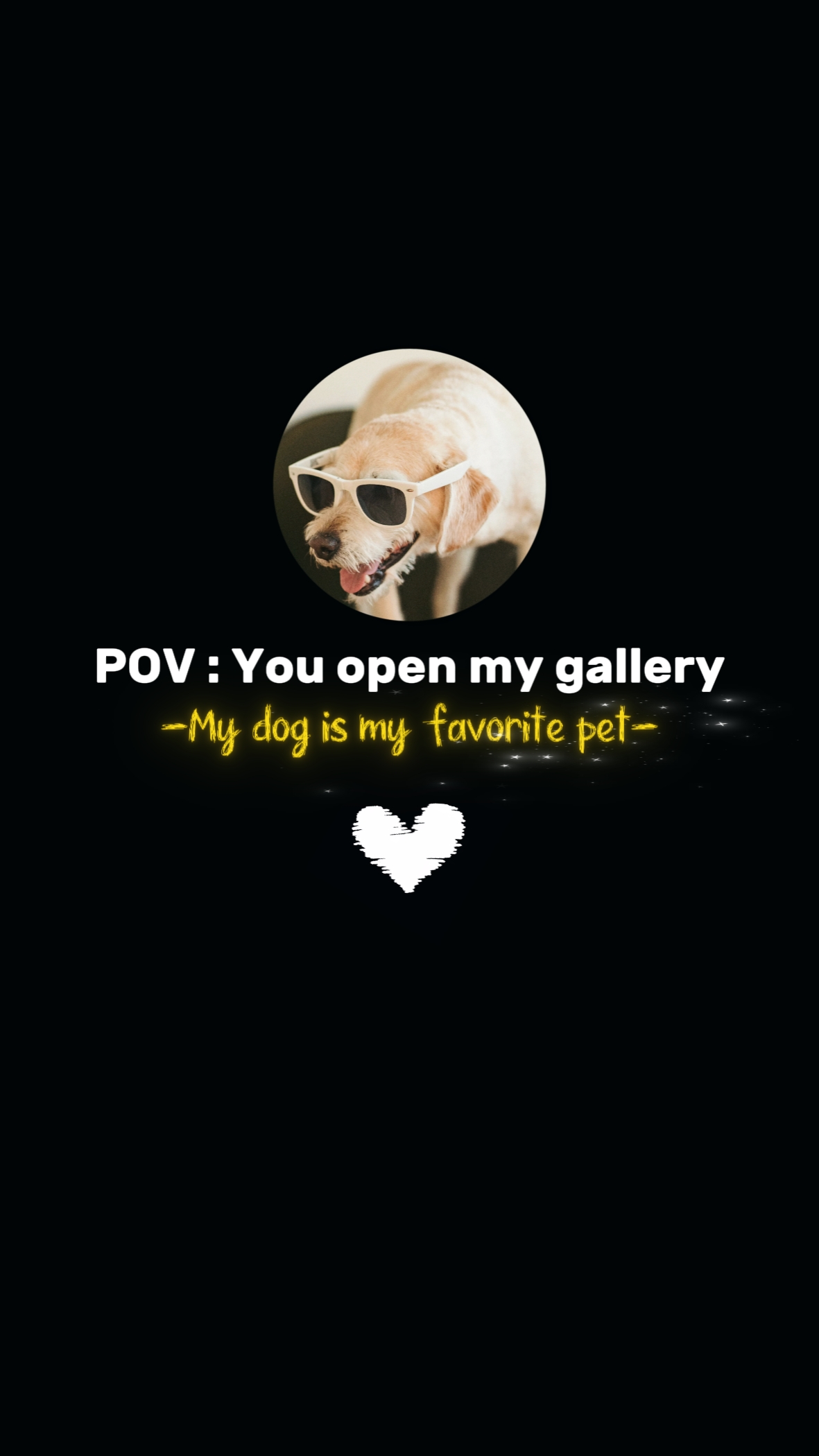 Meine Hundekamera