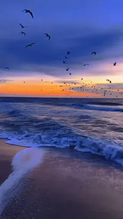 viral video 