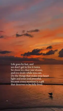 Life Quotes