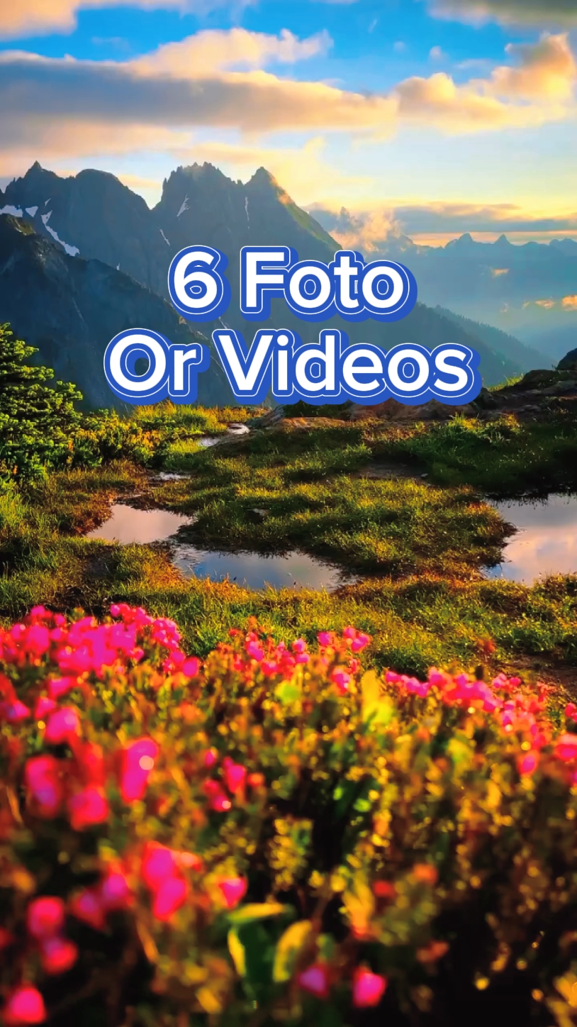 6 Slide Video