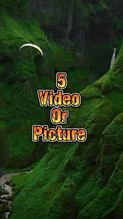 5 video new template