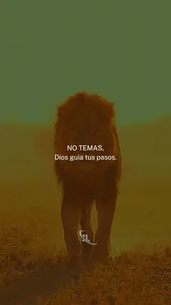 No temas ,