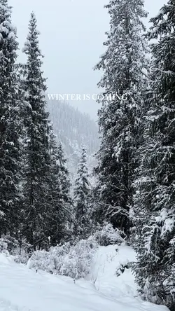 Winter is comin