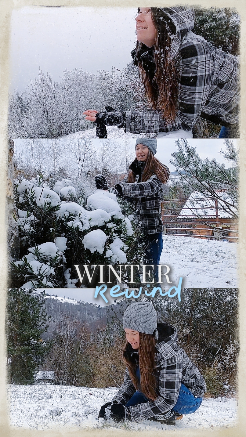 Retrocesso de inverno