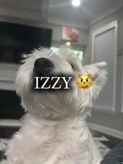 IZZYYY