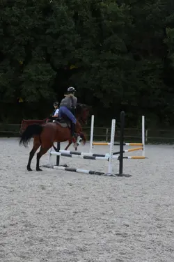 jai demandé un chien