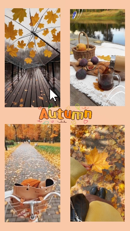 Autumn Vibes 