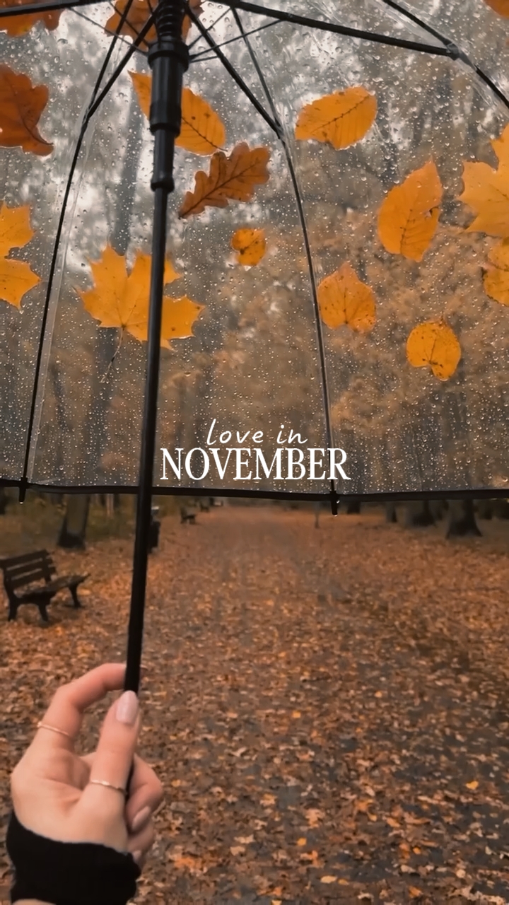 cinta di bulan November