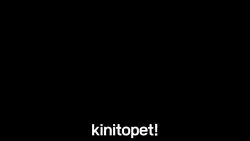 kinitopet 