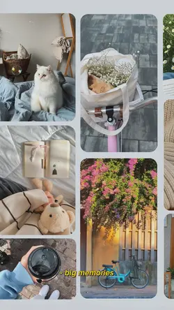 AESTHETIC FRAME