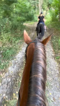 I‘ll go slow today..