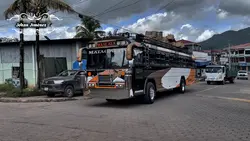Edith de buses