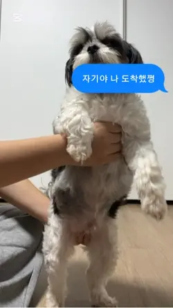 내 골반이 멈추지 않은 탓일까?ㅜ.ㅜ