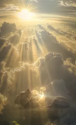 RAINBOW BRIDGE FREE!