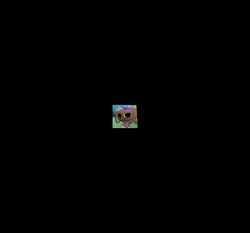 bassie edit