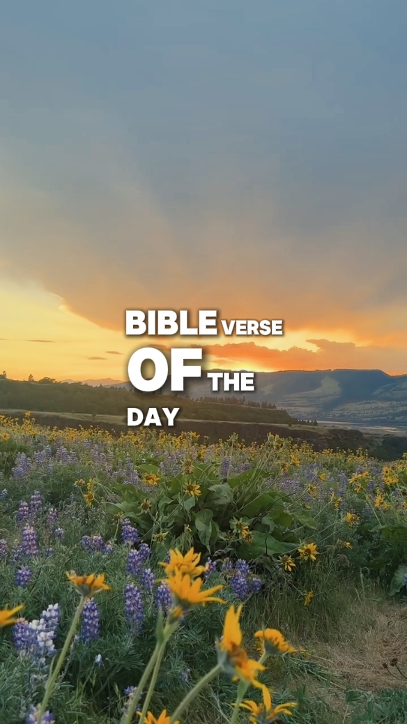 Verso Bíblico Hoje