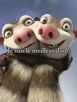 Meilleur duo 