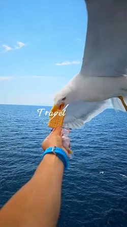 Travel Vlog Vol.4