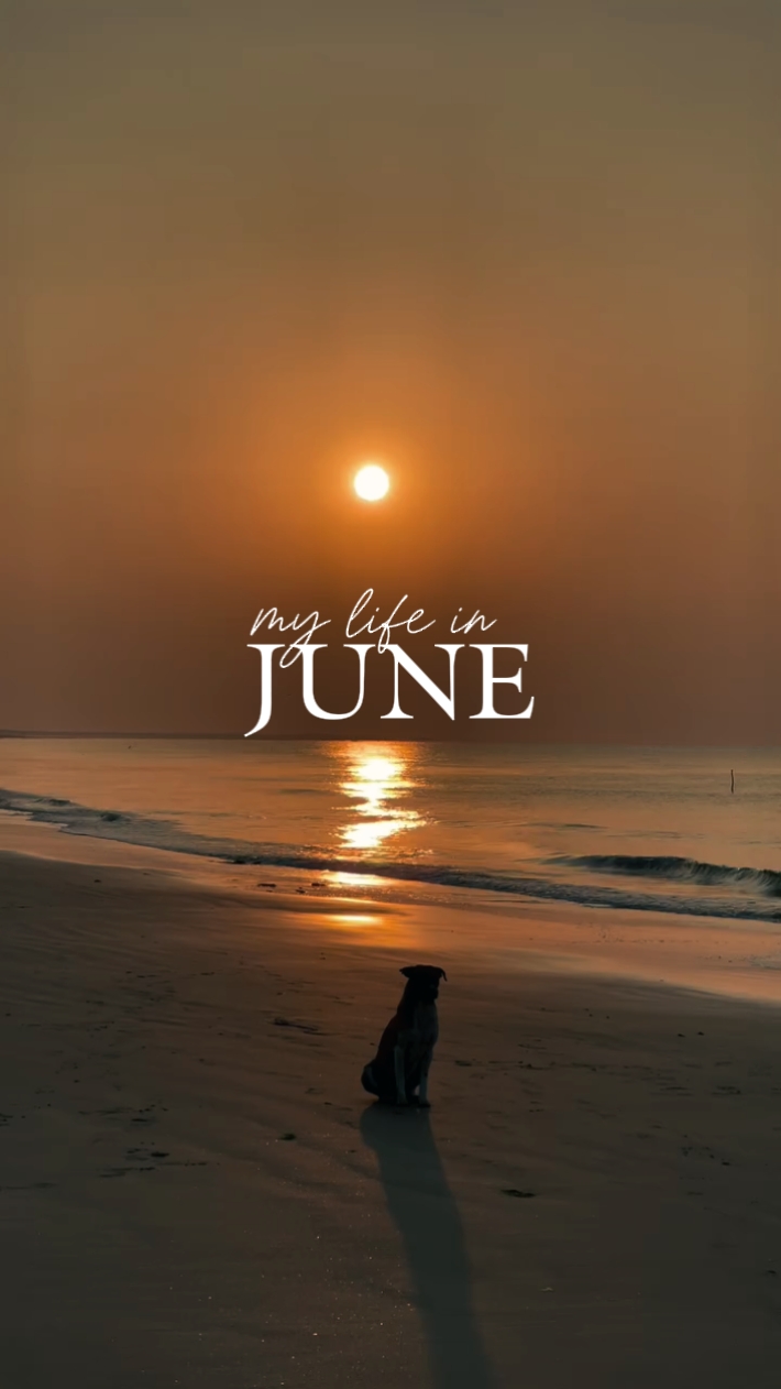 JUNE DUMP