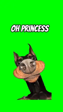 Oh princess