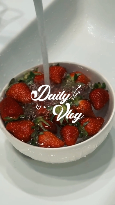 Vlog diario