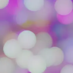 編集大会用テンプレ