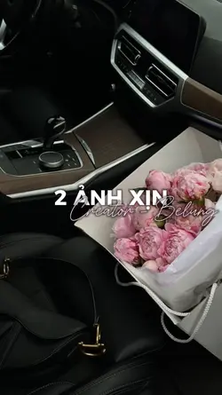 tái sinh remix
