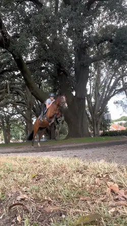 guess who’s backkk 🩵