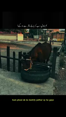 pathar k ho gaye....