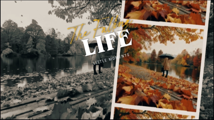 la vie qui tombe 