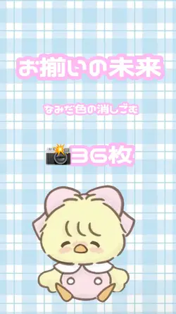 お揃いの未来 36枚