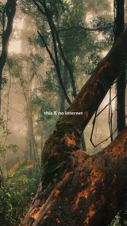 no internet