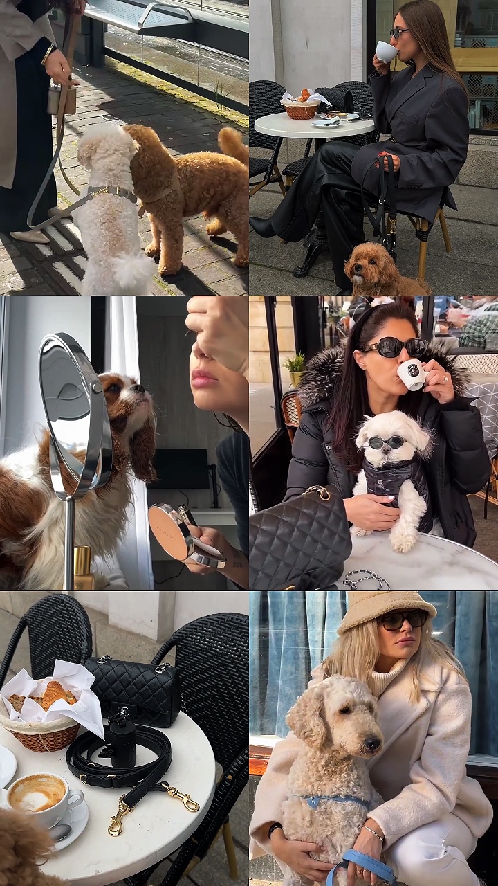 Momento cachorro