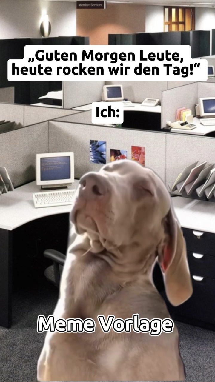 Perro meme