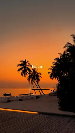 Fall in love 9:16ver