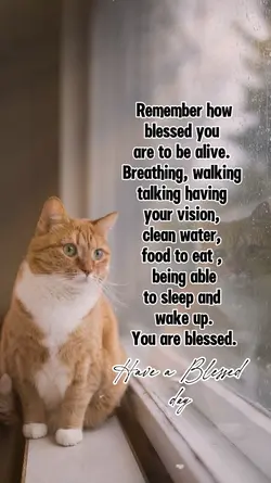 Blessed day 