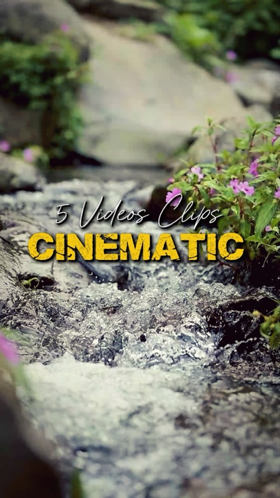 Cinématique 5 Vidéos 