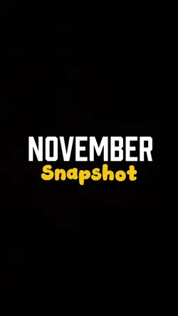 November Snapshot 