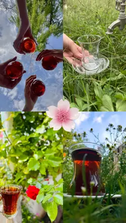 piknik / çay