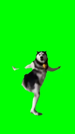 HUSKY DANCE TREND