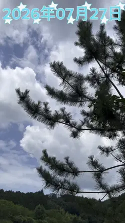 今日の天気