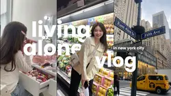 thumbnail vlog