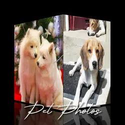 Cube Effect for Pets