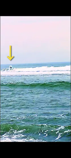本日の海