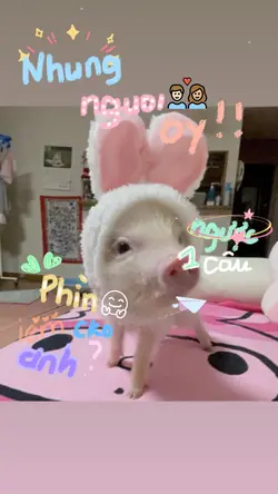 2+3= mấy